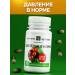 Health formula Phytoactive No. 14 Pressure is normal - Buy Online on GoSupps.com