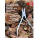 Alluring Style Nippers for nails are professional for pedicure and manicure - Buy Online on GoSupps.com