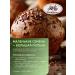 KishMish Food Food Food Food 1 kg - Buy Online on GoSupps.com