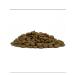 Forza10 Dry food for dogs Diet fish 12 kg - Buy Online on GoSupps.com