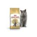 ROYAL CANIN Dry food for British cats 4 kg - Buy Online on GoSupps.com