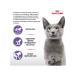 ROYAL CANIN Sterilized 37 Sterilizhev 37 for sterilized cats 10 kg - Buy Online on GoSupps.com