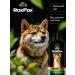RoxFox Hypoallergenic dog shampoo from smell 1l - Buy Online on GoSupps.com
