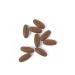 Denali Pro 0408 ginkgo biloba plaS tablets - Buy Online on GoSupps.com