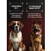 cosmodog Dry food for dogs 4 kg with a probiotic lamb - Buy Online on GoSupps.com