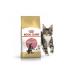 ROYAL CANIN Dry food 2 kg for kittens Maine Kun Kitten (Kitten) - Buy Online on GoSupps.com