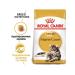 ROYAL CANIN Dry food 4 kg for cats Maine Coon (Maine Coon) - Buy Online on GoSupps.com
