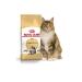 ROYAL CANIN Dry food 4 kg for cats Maine Coon (Maine Coon) - Buy Online on GoSupps.com