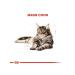 ROYAL CANIN Dry food 4 kg for cats Maine Coon (Maine Coon) - Buy Online on GoSupps.com