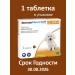 NEXAGARD Frontline 2-4kg 11 3 mg (1 tablet) (08 2026 period)