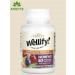 21st Century Women's vitamins 50+ from the USA WellIth Women 65 T - Buy Online on GoSupps.com