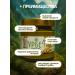 Eco Dom Pista paste urbech natural - Buy Online on GoSupps.com