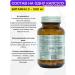 Venatura Vitamin C 500 mg T rkiye - Buy Online on GoSupps.com