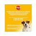 PEDIGREE Dry food for small dogs with beef 4x2kg - Buy Online on GoSupps.com