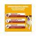 PEDIGREE Dry food for small dogs with beef 4x2kg - Buy Online on GoSupps.com