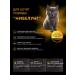 QUATTRO Dry food for kittens of the Nibelung breed with turkey 2kg - Buy Online on GoSupps.com