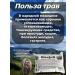 Danila Travnik Sage medicinal 100g - Buy Online on GoSupps.com