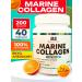 Bullstrong Marine Collagen by BS Orange 200 G.
