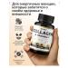 Sea collagen with hyaluronic acid 500 mg 120 capsules - Buy Online on GoSupps.com