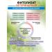 Veterinary phytolysis 100ml - Buy Online on GoSupps.com