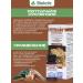 AVZ Reptilayph Suspension for oral use of 10 ml - Buy Online on GoSupps.com