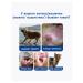 Drops from ear ticks for dogs 180ml - Buy Online on GoSupps.com
