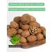 Walnut in the shell 500 grams - Buy Online on GoSupps.com
