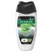 PALMOLIVE Male shower gel Cleansing and care 250ml