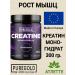 Pure Gold Protein Creatine from Europe Pure Gold Creatine Monohydrate 300 gr