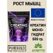 Pure Gold Protein Creatine from Europe Pure Gold Creatine Monohydrate 500 gr