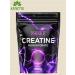 Pure Gold Protein Creatine from Europe Pure Gold Creatine Monohydrate 500 gr - Buy Online on GoSupps.com