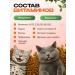 RedDog Multivitamins - Cat treats 8 in 1 - Buy Online on GoSupps.com