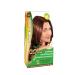ArtColor Hair dye without ammonia chestnut 5.4 tone 25 g 2 pcs - Buy Online on GoSupps.com
