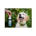 Dude Antiparasitic biosprey for cats and dogs - Buy Online on GoSupps.com