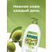 PALMOLIVE Shower gel moisturizer 750 ml 2 pcs - Buy Online on GoSupps.com