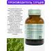 VeNatura Chlorella in capsules T rkiye - Buy Online on GoSupps.com