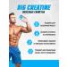 BIG Creatine monohydrate additive for muscles 300 capsules - Buy Online on GoSupps.com