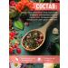 Herbal collection of herbs and berries vitamin - Buy Online on GoSupps.com