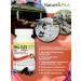 Hema plex Iron in capsules - Buy Online on GoSupps.com