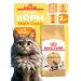ROYAL CANIN Dry food for the breed Maine Coon (Main Kun) 2 kg