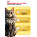 ROYAL CANIN Dry food for the breed Maine Coon (Main Kun) 2 kg - Buy Online on GoSupps.com