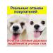 Eye drops for cats and dogs with conjunctivitis 8 ml - Buy Online on GoSupps.com