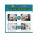 Eye drops for cats and dogs with conjunctivitis 8 ml - Buy Online on GoSupps.com