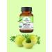 AumRa Amalaki Organic India 60 Capas Amla Amalaki Organic India - Buy Online on GoSupps.com