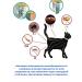 Ellanur Flea and ticks for cats - Buy Online on GoSupps.com