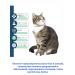Ellanur Flea and ticks for cats - Buy Online on GoSupps.com