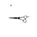 Kiepe Scissors for hair cutting Professional straight 6 "inches