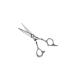 Kiepe Scissors for haircuts Professional 6.5 "inches - Buy Online on GoSupps.com