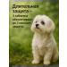 Zoetis Simparika 40 mg tick tablets and fleas for dogs 10-20 kg - Buy Online on GoSupps.com