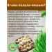 Sarcor nuts cashew raw 1 kg - Buy Online on GoSupps.com